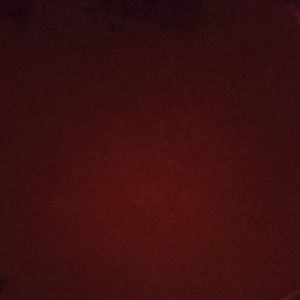 Meet your Posher, Shaunda